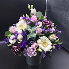 Florist Choice Pot Arrangement