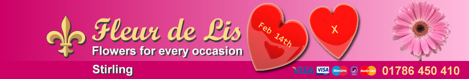 Fleur De Lis Florist Stirling - Valentines Day Flowers