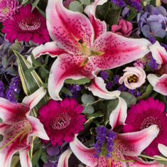 Florist Choice Seasonal Gift wrap