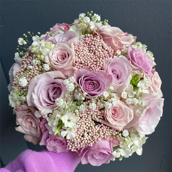 Pink & White
