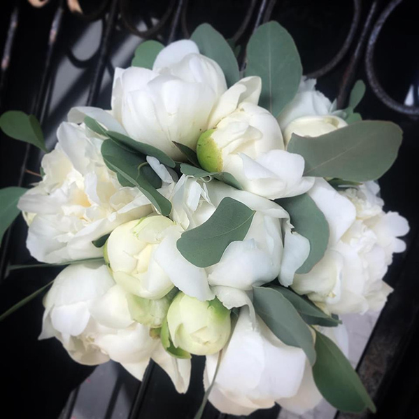 Ivory & Sage