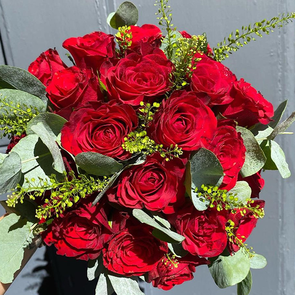 Crimson & Sage