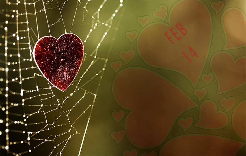 Valentines Day Flowers