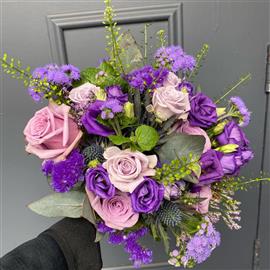 Purple & Pink