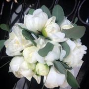 Ivory & Sage