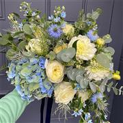 Yellow & Blue