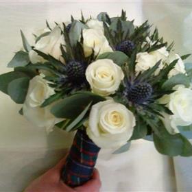 fwthumb00031.jpg