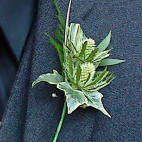fwthumb0135432.jpg